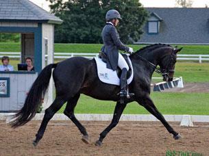 Jennifer Baumert and Don principe swept all four days in the Grand Prix at the Kentucky Dressage Association Spring show and CDI 1*  credit: BobTarr.com