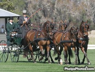 Texan Mike McClennan with his quarter horse/fresian team finished third in the dressage phase.