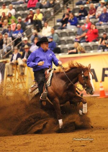 Team Gold Medal and Individual for the United States at the 2010 Reining World Championships and 2010 Equestrian of the Year Tom McCutcheon. Photo: Mary Phelps - phelpsphotos.com