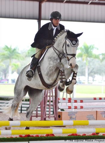 Spycoast Farm Young Horse Series Four-Year-Old Jumping Under Saddle champion was Armani Z (Asca Z/Cumano) owned by Linda Baker scoring 8.28