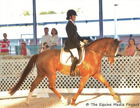 Spycoast Farm Young Horse Series Four-Year-Old Flat Under Saddle, Happenstance (Diamond Hit/Hohenstein), bred and owned by Mary Blanford was the champion scoring 8.19