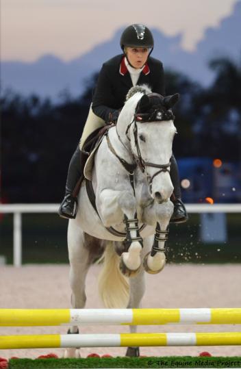 The Jump Chute Four-Year-Old championship was awarded to Mimmo TZ (Massumo/Narcos II), bred by Jose Timmerman and owned by Sherry Hill scored 8.65