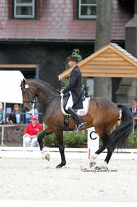 Steffen Peters and Legolas 92, Olympic Grand Prix Special Winners (Photo: Susan J. Stickle)