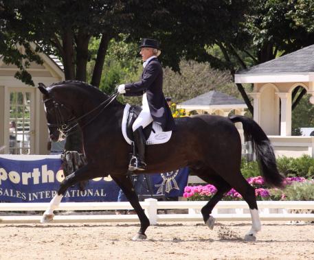 Mette Rosencrantz, dressage rider and trainer, sponsored by Custom Saddlery, makers of handcrafted custom-fit dressage, jumping and event saddles. Photo: Anna Dahlberg