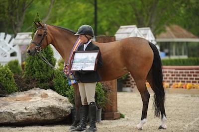 Morgan Ward and Isport   The Book LLC 2013