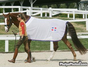 Yvonne Losos de Muniz and Optimus Prime representing the Dominica Republic prepare for the horse inspection at the Kentucky Dressage Cup CDI***