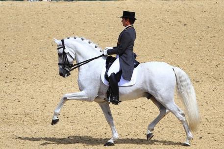 Juan Manuel Munoz and PRE stallion Fuego de Cardenas