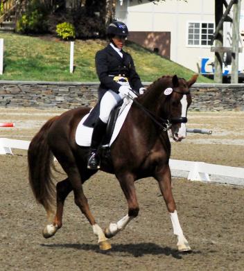 Heather Mason and Warsteiner  Photo: Lynndee Kemmet