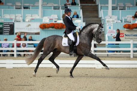 Nicholas Fyffe and Faisan AT Photo: Conklin Photographic