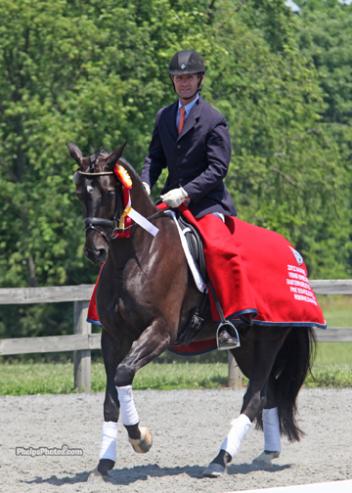 Finishing second in the five-year-old division was San Regilio (San Schufro-Rowina by Rohdiamant) at the Markel/USEF Eastern Selection Trials.Photo: Mary Phelps phelpsphotos.com