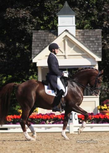 <em><strong>Endel Ots (Wellington, FL) and  Agastrofos  2012. (Photo: PhelpsPhotos.com)</strong></em>