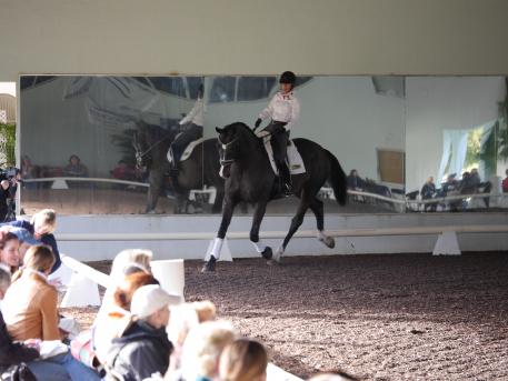 Mette Larsen and Deklan during the 2014 Succeed/USDF Trainer’s Conference. (Photo courtesy of Mette Larsen)