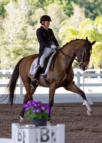 Diana Mukpo and Pascal (Dutch Warmblood gelding by Julius (Voltaire) out of a Burggraaf mare) win the FEI Grand Prix de Dressage Open class at the 2012 Wellington Classic Dressage Challenge 1 (Photo: SusanJStickle.com)