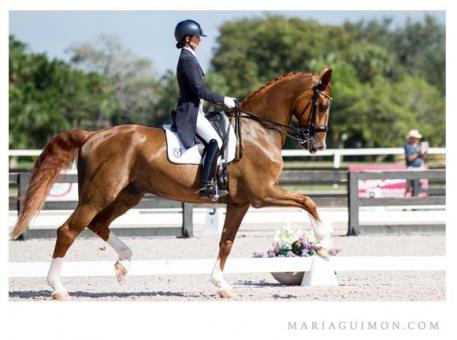Tarpan Ymas owned by Yeguada de Ymas ridden by Paula Matute Photo: Maria Guimón
