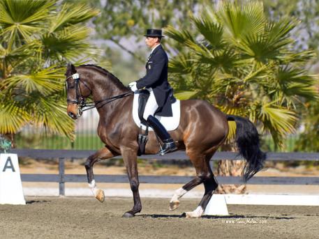 Steffen Peters and "Legolas" will look to continue their winning ways at Festival of the Horse CDI 3*/Y/J Presented by HorseShow.com.  (Photo: Terri Miller)