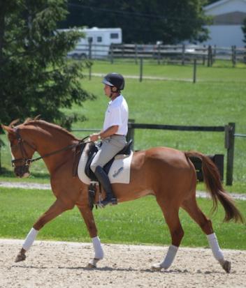 Phillip Dutton and Mr. Medicott. Photo courtesy of Phillip Dutton Eventing.