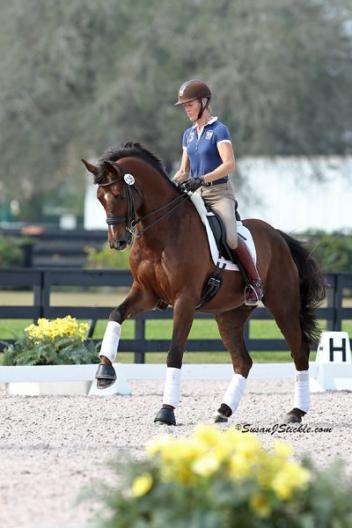 Tuny and Woodstock (Havel x Contango), a 10 yr old Dutch Warmblood prepare for Europe CDI Tour 2013 Photo; Astrid Appels