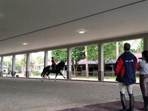 Adrienne Lyle and Wizard during a training session with USEF Chef d'Equipe/Technical Advisor Robert Dover (USEF Archive)