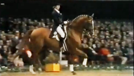 Watch the video - The last time a stallion won the individual gold medal was in 1972. The horse was named Piaff, and his rider was the first female to ever achieve Olympic Gold.