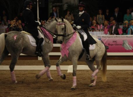Cherri Reiber and Zerbino Interagro at the 2013 Challenge of the Americas