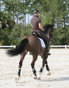 Germany's Anja Ploenzke riding Le Mont d'Or (Photo Credit: Wellington Classic Dressage)