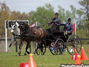 Larry Poulin Driving Riva uses driving to help his dressage horses, 2011. (Photo: PhelpsPhotos.com)