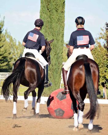 The auction horses competing in a "soccer" match!