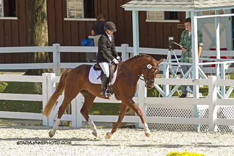 Inaugural winner of the Angela Barilar Trophy was Qhuiver (Quaterback) bred and owned by Mo Swanson of Rolling Stone Farm (Photo: Stacey Lynne)