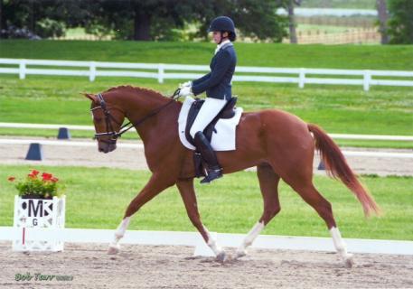 Quintessential by Quaterback out of Tamarinde Photo: Bob Tarr