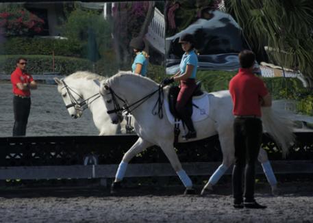 Daniel Martin Dockx coaching Rachel Chowanec riding Embrujado XI