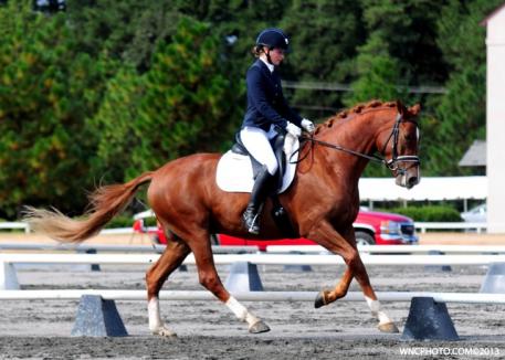 Mary-Haskins Gurganus and Ramone at the Pinehurst Fall Dressage show. (Photo courtesy of WNC Photography)