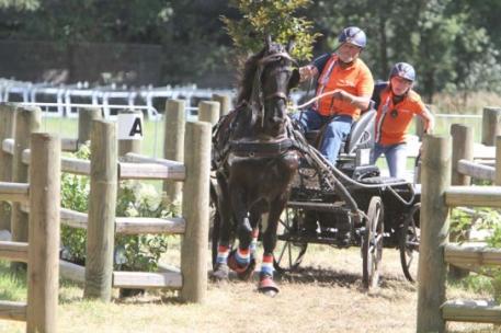 Jan Ranzijn (NED), who has died at the age of 68, took team gold and individual bronze at the 2012 FEI Para-Equestrian Driving World Championships on home ground in Breda. (Rinaldo de Craen/FEI)