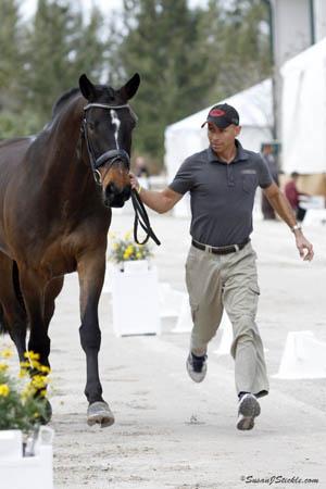 2011 WDM Palm Beach defending Champion Steffen Peters presents Ravel to the FEI ground jury at the 2012 WDM Palm Beach. (Photo: Sue Stickle for Phelps Media Group)