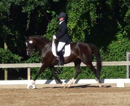 Jennifer  Roth (Columbus, Ohio) and Reebok head to the 2013 US Dressage Finals Photo: Sharon Patrick