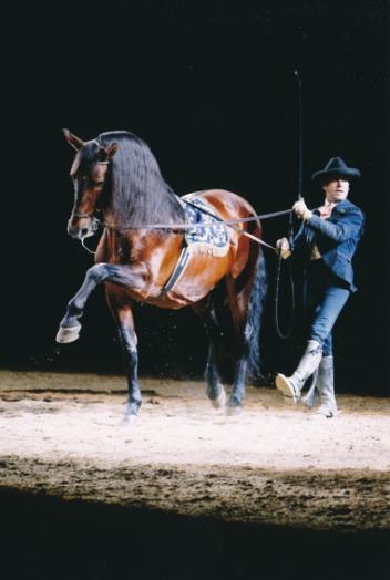 The Royal Andalusian School of Equestrian Art - Riendas Largas (long-reining). Photo credit: Fundación Real Escuela Andaluza del Arte Ecuestre.