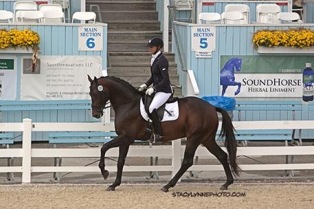 Winner of the Suitable to Become a Dressage Horse - 4 year-old is Heather Blitz's Ripline (Hotline) (Photo: Stacey Lynne)