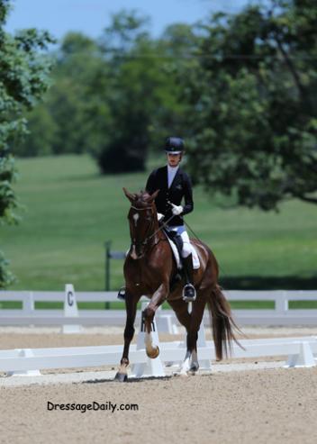 Caroline Roffman brings out the exciting Shiatsu TF in the FEI 5-Year-Old Class.