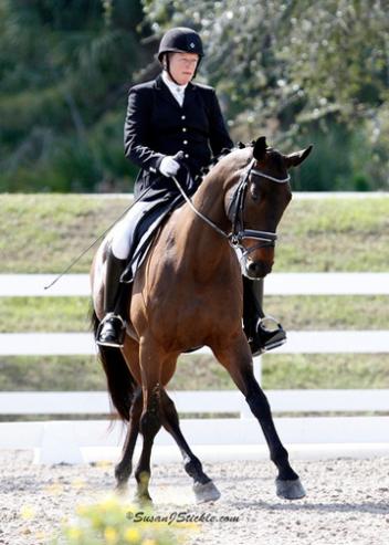 Diana Mukpo on Donna Cameron's Rubato, a 2004 Oldenburg gelding by Rosario collected another blue ribbon for Cutler Farm at the 2012 Wellington Classic Dressage Challenge 1 (Photo: SusanJStickle.com)