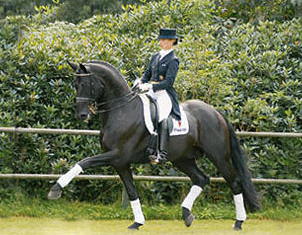 Rubinero (by Rubinstein x Ex Libris x Furioso II)
