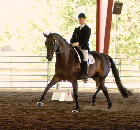 Martin Kuhn(New Berlin, Illinois) will ride Rubinstar in the Fourth Level US Dressage Finals Photo by Steve Todd of Studio 131