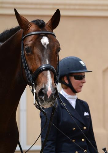 Sabine Schut-Kery and Sanceo, 2014. (Photo: Kelly Sanchez)