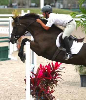Salim Radi and his young jumper Charon / Photo by Carrie Wirth. 