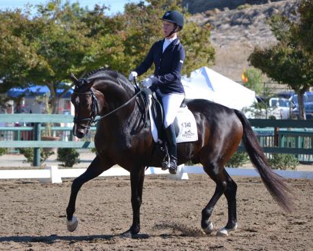 Sabine Schut-Kery and "Sanceo" win the CDS Young Horse Futurity for Five-Year-Olds.  (Photo: Jennifer M. Keeler)