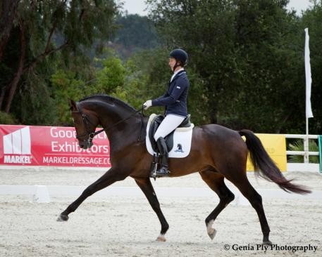 Sabine Schut-Kery and Alice Homble's Sanceo (San Remo x Rivera by Ramiro's Son II) won the 6-year-old title, 2012. (Photo: Genia Ply Photography)