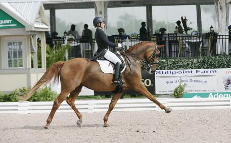 Sara Spofford about her own Lagrima competing in the Small Tour CDIs at the Global Dressage Festival Photo: Betsy LaBelle 