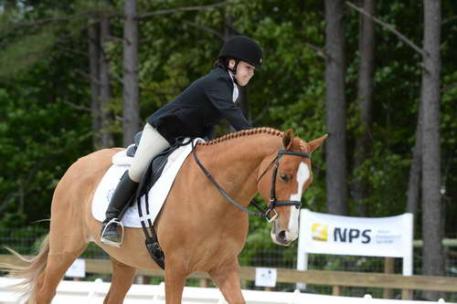 Sarah Zimmer and Mardi Gras won the Novice division. 