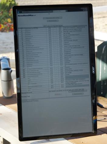 US Dressage Finals 2013 at the Kentucky Horse Park  Photo: DressageDaily