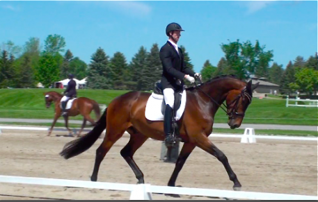 JazzBeat and rider Neil McIntosh receive 100% at the Ottawa Dressage Festival