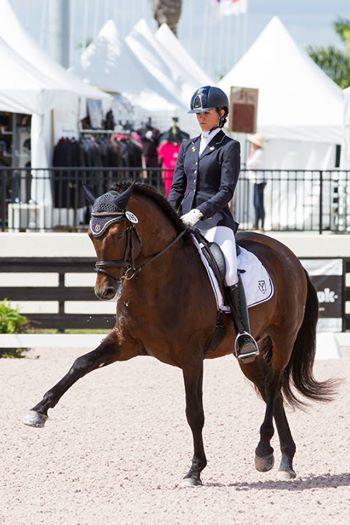 Sereno de Ymas owned by Yeguada de Ymas ridden by Paula Matute  Photo: Maria Guimón