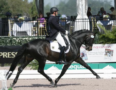 Shakespeare RSF, 10 years old, (Sandro Hit x EM Acapella (Arrian-EM Papagena/Pablo) competes this week in the 2014 CDIO Nations Cup with Marcus Orlob Photo: Betsy LaBelle
